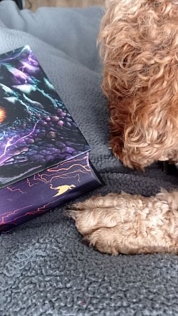 Am lesen