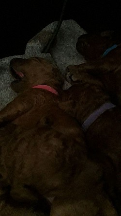 Kuschelzeit