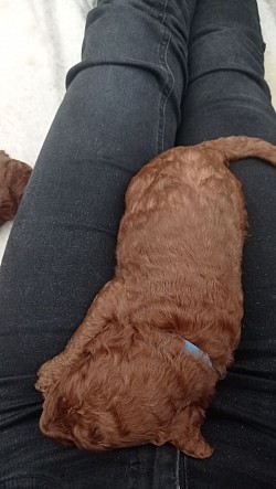 Kuschelzeit