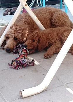 Mama und Tochter Arya